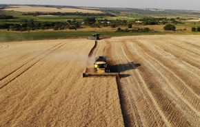Campagne de récolte 2025